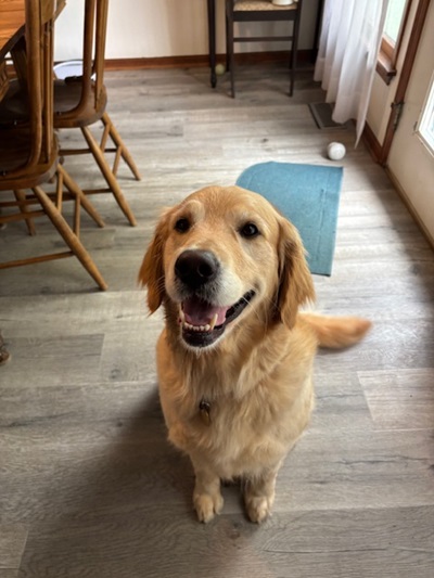 abby25050 foster1