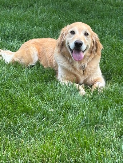 abby25050 foster2