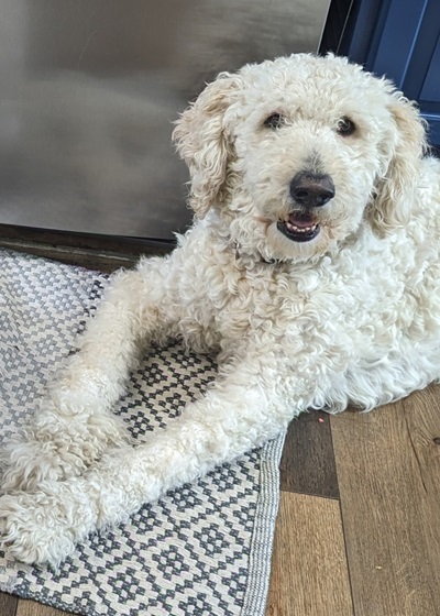 barkley25040 1