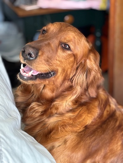 hazel25045 6