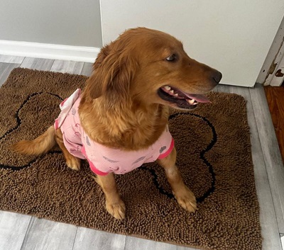 reason25052 foster1
