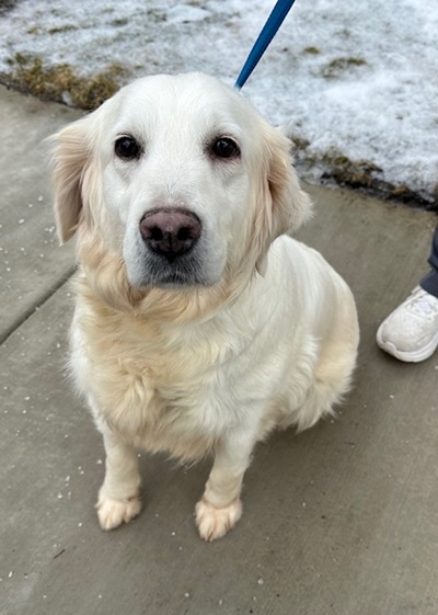 maggie25014 1