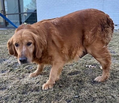 maggie25023 1