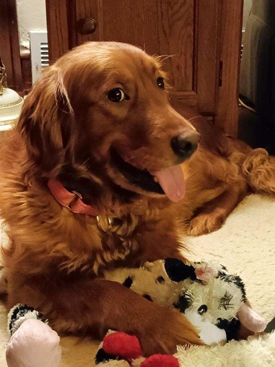 misty25002 foster3