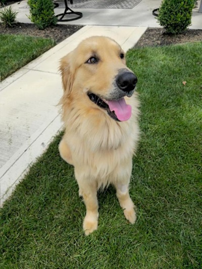 asher25076 foster1