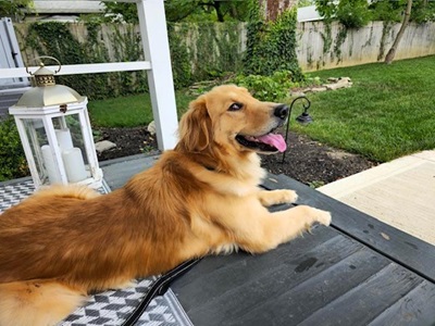 asher25076 foster2