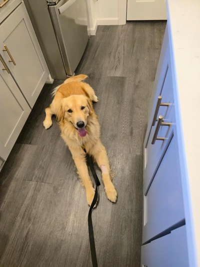 asher25076 foster3