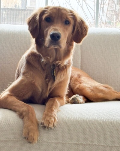 bella24194 foster9