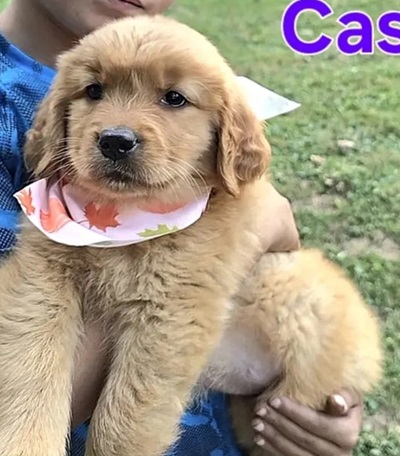 cassie25113 1