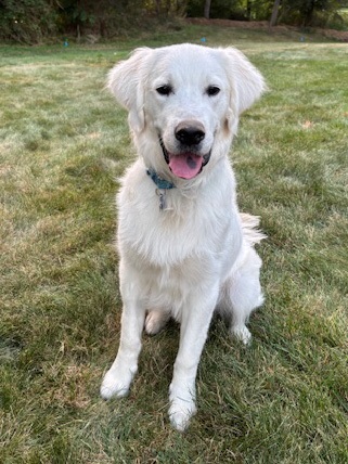 hank25065 1