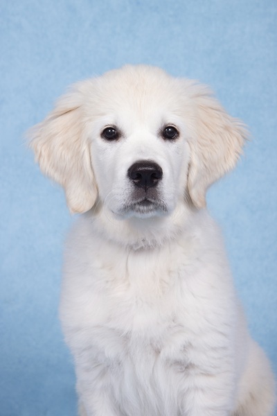 freddy26086 foster5