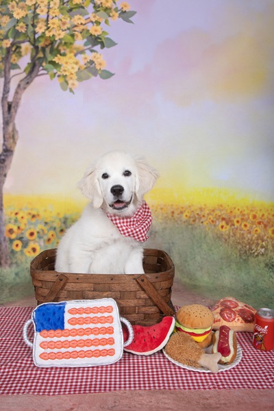 freddy26086 foster7