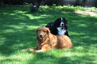 lola26055andlady26046 foster2