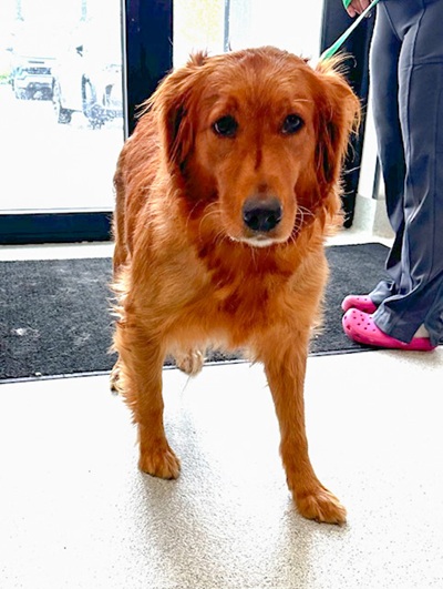molly26063 1