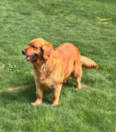 sadie25059 1