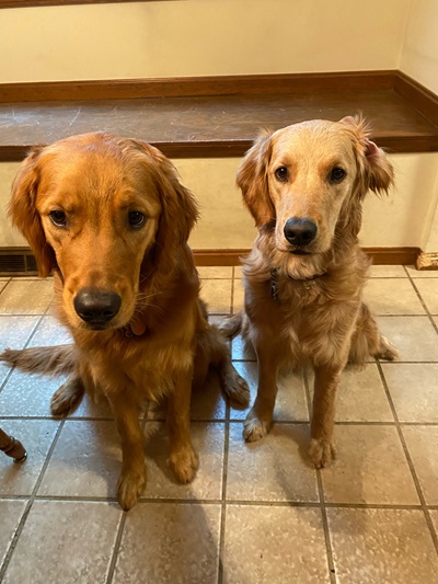 charlie25096andemma25105 1