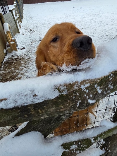 pancake25139 trainer2