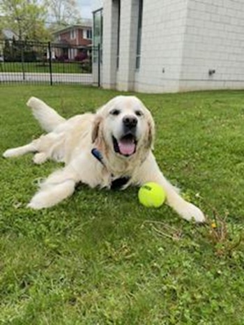 peter26047 foster6