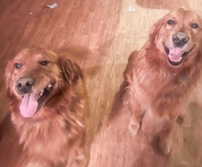 ruger25147andcooper25146 1