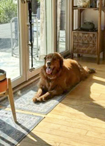 bella26101 foster2