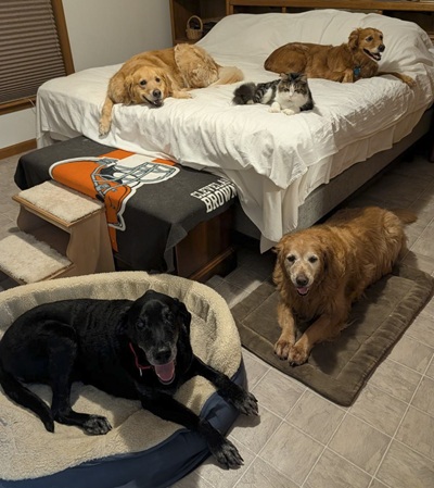 buckey26094andsunshine26095 foster1