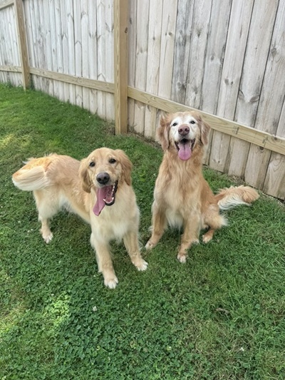 daisy26098andsydney26099 1