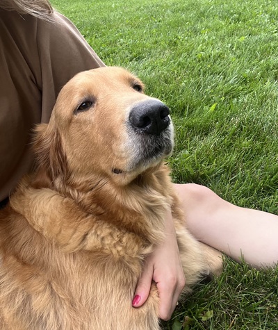 harriet26087 foster1