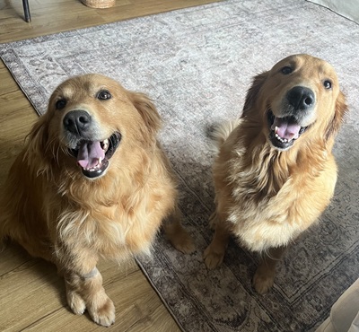rose26088andharriet26087 foster1