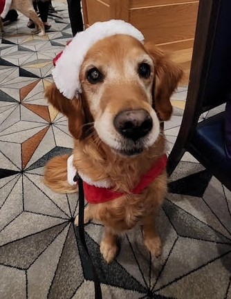 Radar Kime Gala 2025