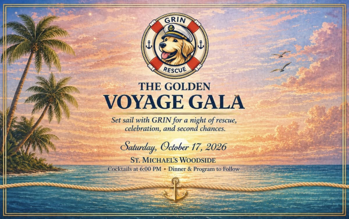 Gala.jpg