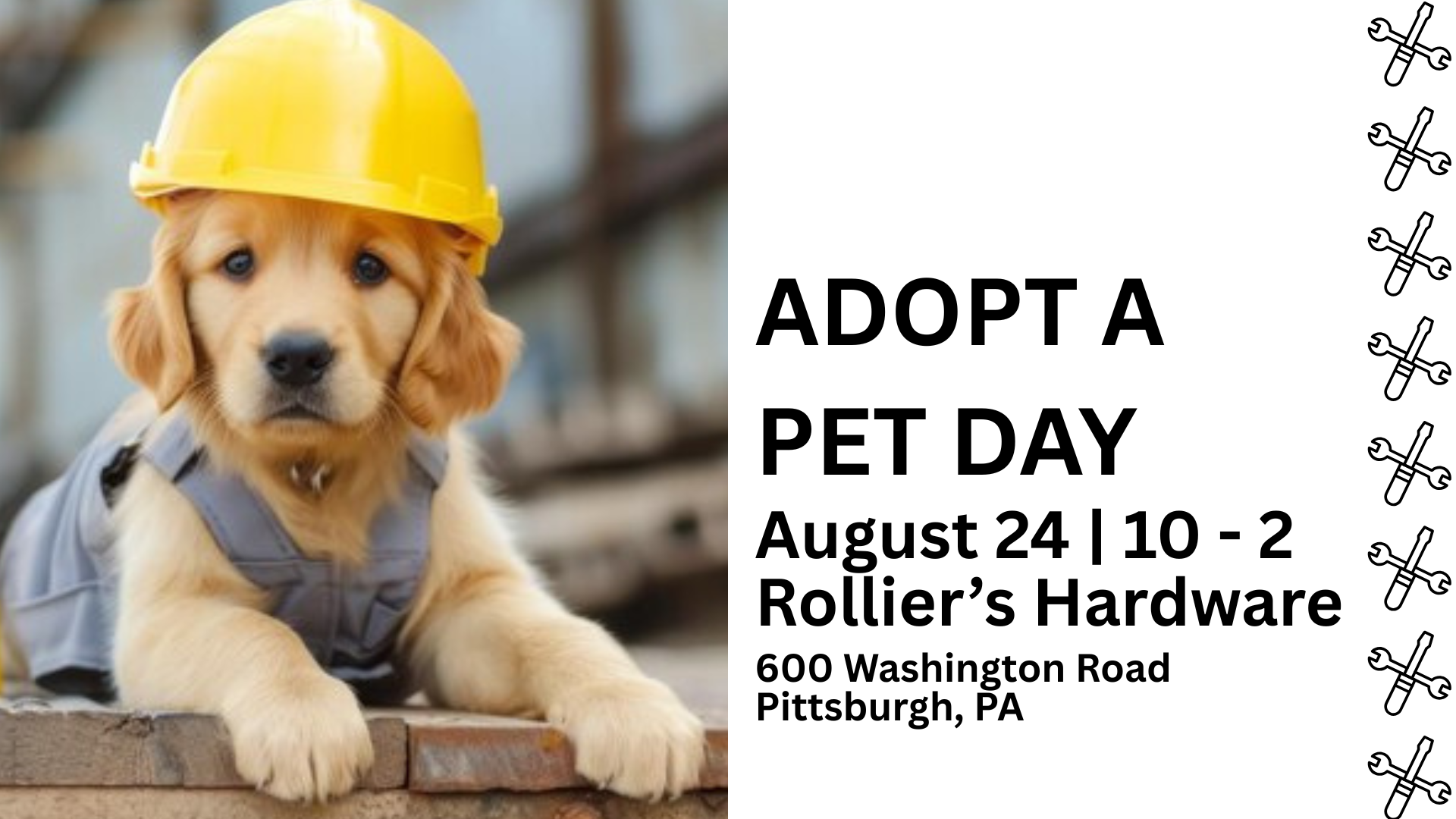 PET_ADOPTION_DAY_1.png