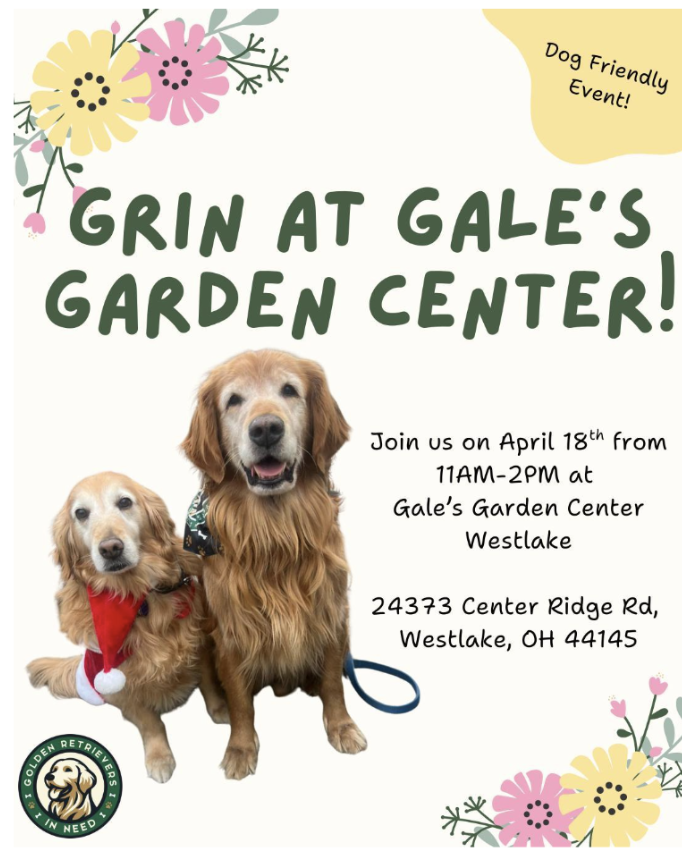 Screenshot 2026 02 01 at 9.58.34 AM