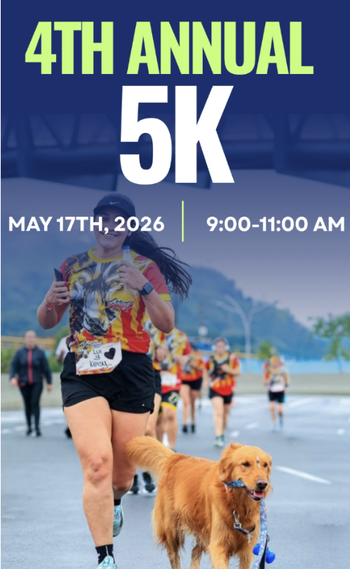 Screenshot 2026 02 19 at 11.32.01 AM